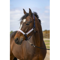 Licol Equithème Nylon Check Marine / rose Bleu