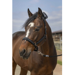 Licol Equithème Nylon Strass Noir Licol Equithème Nylon Strass Noir