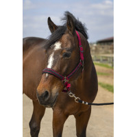 Licol Equithème Nylon Strass Bordeaux