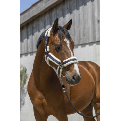 Licol Norton Cosy Bleu marine