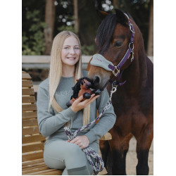 Tiny Pony LeMieux Harlow Rolo Tiny Pony LeMieux Harlow Rolo
