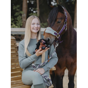 Tiny Pony LeMieux Harlow Tiny Pony LeMieux Harlow