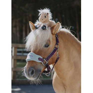 Tiny Pony LeMieux Harlow Cloudy
