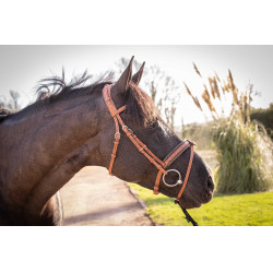 Bridon Pénélope Elégance Cognac Marron