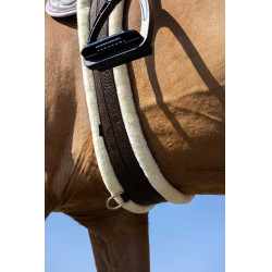 Sangle élastique Norton Smooth Marron Sangle élastique Norton Smooth Marron