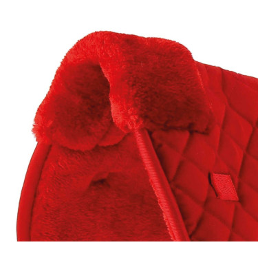 Amortisseur de dos Riding World Rouge Amortisseur de dos Riding World Rouge