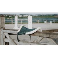 Amortisseur Equithème Pro air Noir