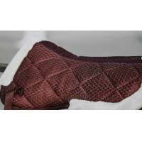 Amortisseur Equithème Pro air Noir