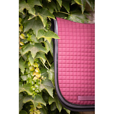 Tapis Paddock Sports Américain dressage Tapis Paddock Sports Américain dressage
