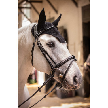 Bonnet Paddock Sports Pro Coton Noir Bonnet Paddock Sports Pro Coton Noir
