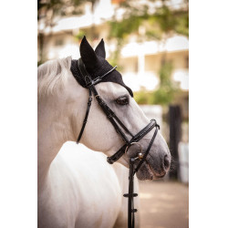 Bonnet Paddock Sports Pro Coton Noir Bonnet Paddock Sports Pro Coton Noir