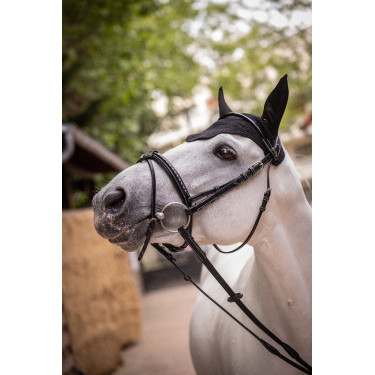 Bonnet Paddock Sports Pro Coton Noir Bonnet Paddock Sports Pro Coton Noir