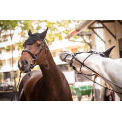 Bonnet Paddock Sports Pro Coton Noir Bonnet Paddock Sports Pro Coton Noir