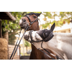 Bonnet Paddock Sports Pro Coton Noir Bonnet Paddock Sports Pro Coton Noir