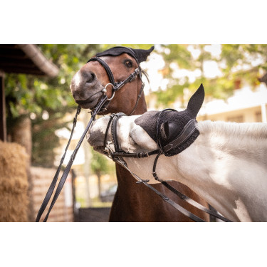 Bonnet Paddock Sports Pro Coton Noir Bonnet Paddock Sports Pro Coton Noir