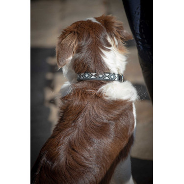 Collier pour chien Pénélope Pearl Collier pour chien Pénélope Pearl