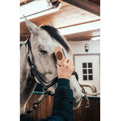 Brosse de tête Borstiq