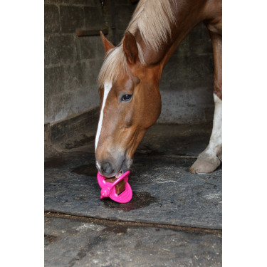 Jouet Bizzy Ball Likit Fuchsia Rose