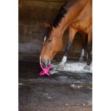 Jouet Bizzy Ball Likit Fuchsia Rose