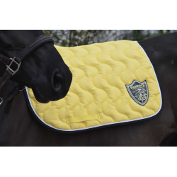 Tapis Paddock Sports Origine Jaune Tapis Paddock Sports Origine Jaune