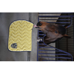 Tapis Paddock Sports Origine Jaune Tapis Paddock Sports Origine Jaune