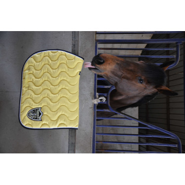 Tapis Paddock Sports Origine Jaune Tapis Paddock Sports Origine Jaune