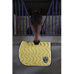Tapis Paddock Sports Origine Jaune Tapis Paddock Sports Origine Jaune