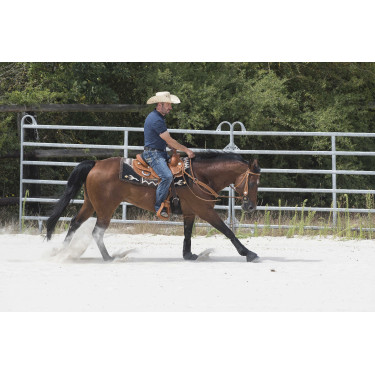 Selle Westride by Franck Perret Aurora Noisette Marron Selle Westride by Franck Perret Aurora Noisette Marron
