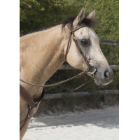 Bridon Westride by Franck Perret Colorado Chocolat Marron Bridon Westride by Franck Perret Colorado Chocolat Marron