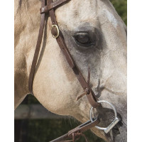 Bridon Westride by Franck Perret Colorado Chocolat Marron Bridon Westride by Franck Perret Colorado Chocolat Marron