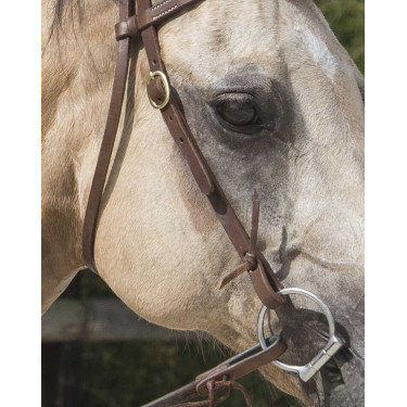 Bridon Westride by Franck Perret Colorado Chocolat Marron Bridon Westride by Franck Perret Colorado Chocolat Marron