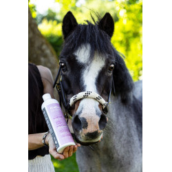 Aliment complémentaire Alodis Care Help Cush Aliment complémentaire Alodis Care Help Cush