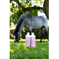 Aliment complémentaire Alodis Care Help Cush Aliment complémentaire Alodis Care Help Cush