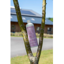 Aliment complémentaire Alodis Care Help Cush Aliment complémentaire Alodis Care Help Cush