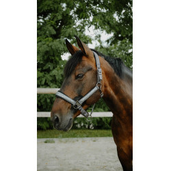 Licol Equithème Glowy Noir / noir Licol Equithème Glowy Noir / noir