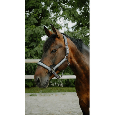 Licol Equithème Glowy Noir / noir Licol Equithème Glowy Noir / noir