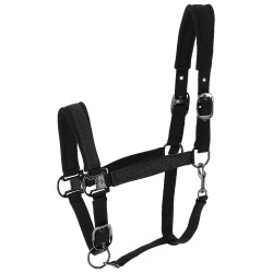 Licol Equithème Glowy Noir / noir Licol Equithème Glowy Noir / noir