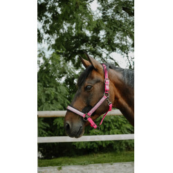 Licol Equithème Glowy Rose / rose