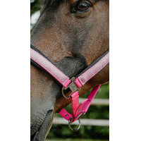 Licol Equithème Glowy Rose / rose