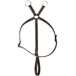 Mini-martingale Pony Academy Marron