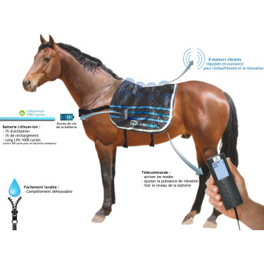 E.Ziback M1 Tapis de massage vibrant pour chevaux E.Ziback M1 Tapis de massage vibrant pour chevaux
