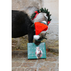 Calendrier de l'avent Natural'Christmas Gourmet 2025 Natural'Innov Calendrier de l'avent Natural'Christmas Gourmet 2025 Natural'Innov