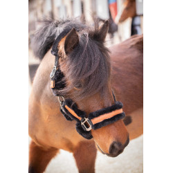 Licol Pénélope Soft Noir Licol Pénélope Soft Noir