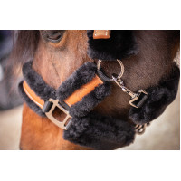 Licol Pénélope Soft Noir / beige