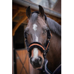 Licol Pénélope Soft Noir Licol Pénélope Soft Noir