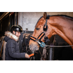 Licol Pénélope Soft Noir Licol Pénélope Soft Noir