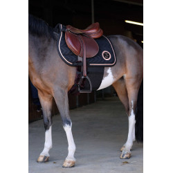 Bande de respect Norton Noir