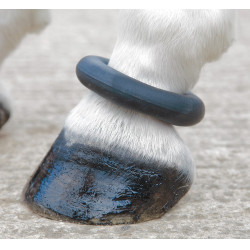 Anneau de paturon Shires Noir