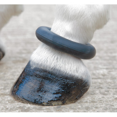 Anneau de paturon Shires Noir