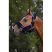 Set pour licol Equithème Teddy Bleu marine Set pour licol Equithème Teddy Bleu marine